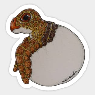 Baby Sea Turtle Hatchling Sticker